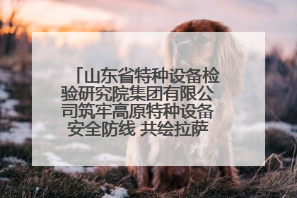 山东省特种设备检验研究院集团有限公司筑牢高原特种设备安全防线 共绘拉萨美好生活画卷