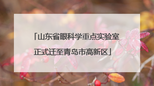 山东省眼科学重点实验室正式迁至青岛市高新区