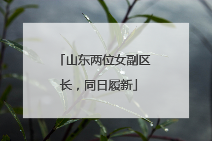 山东两位女副区长，同日履新