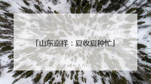 山东嘉祥：夏收夏种忙