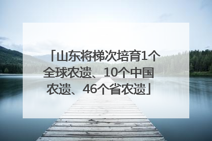 山东将梯次培育1个全球农遗、10个中国农遗、46个省农遗