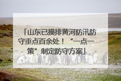 山东已摸排黄河防汛防守重点百余处！“一点一策”制定防守方案