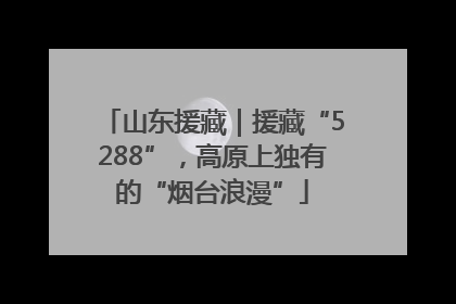 山东援藏｜援藏“5288”，高原上独有的“烟台浪漫”