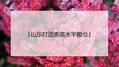 山东打造更高水平粮仓