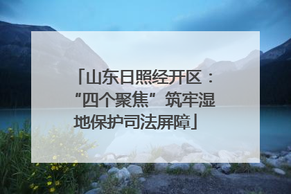 山东日照经开区：“四个聚焦”筑牢湿地保护司法屏障