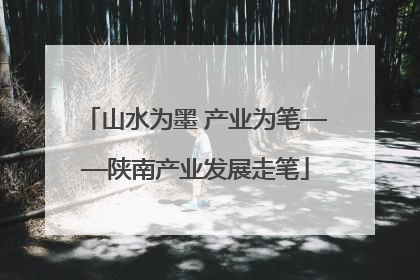 山水为墨 产业为笔——陕南产业发展走笔
