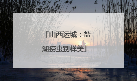 山西运城：盐湖捞虫别样美