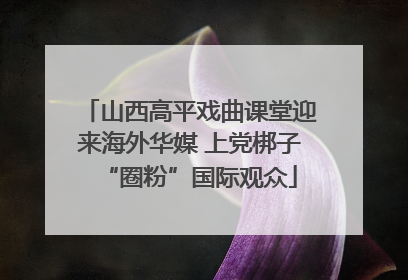 山西高平戏曲课堂迎来海外华媒 上党梆子“圈粉”国际观众