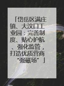 岱岳区满庄镇、大汶口工业园：完善制度、贴心护航、强化监管，打造优质营商“强磁场”