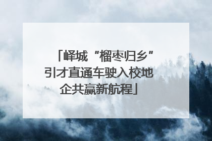 峄城“榴枣归乡”引才直通车驶入校地企共赢新航程
