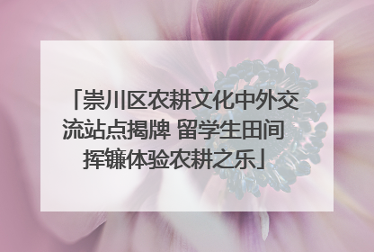 崇川区农耕文化中外交流站点揭牌 留学生田间挥镰体验农耕之乐