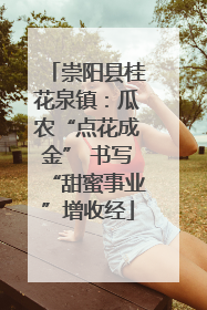 崇阳县桂花泉镇：瓜农“点花成金” 书写“甜蜜事业”增收经