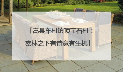 嵩县车村镇顶宝石村：密林之下有诗意有生机