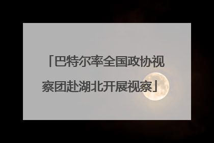 巴特尔率全国政协视察团赴湖北开展视察