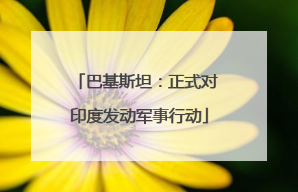 巴基斯坦：正式对印度发动军事行动
