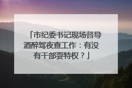 市纪委书记现场督导酒醉驾夜查工作：有没有干部耍特权？