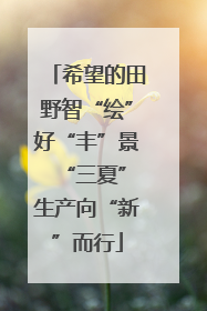 希望的田野智“绘”好“丰”景 “三夏”生产向“新”而行