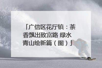 广信区花厅镇：茶香飘出致富路 绿水青山绘新篇（图）
