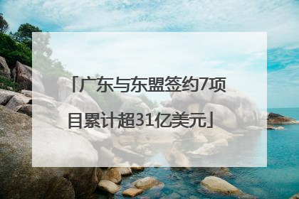 广东与东盟签约7项目累计超31亿美元