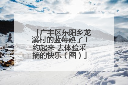 广丰区东阳乡龙溪村的蓝莓熟了！约起来 去体验采摘的快乐（图）