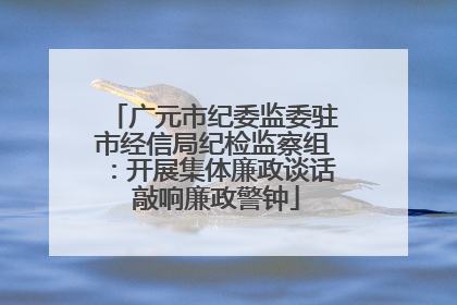 广元市纪委监委驻市经信局纪检监察组：开展集体廉政谈话 敲响廉政警钟