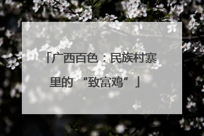 广西百色：民族村寨里的 “致富鸡”