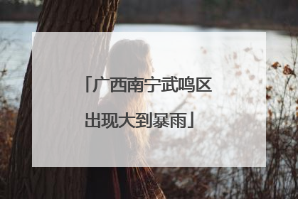 广西南宁武鸣区出现大到暴雨