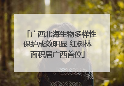 广西北海生物多样性保护成效明显 红树林面积居广西首位