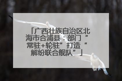 广西壮族自治区北海市合浦县：部门“常驻+轮驻”打造“解纷联合舰队”