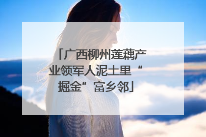 广西柳州莲藕产业领军人泥土里“掘金”富乡邻