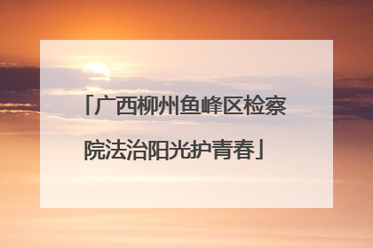 广西柳州鱼峰区检察院法治阳光护青春