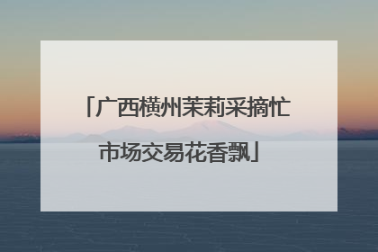广西横州茉莉采摘忙 市场交易花香飘