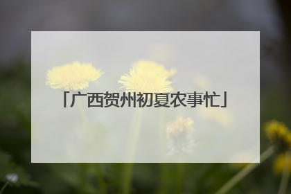 广西贺州初夏农事忙