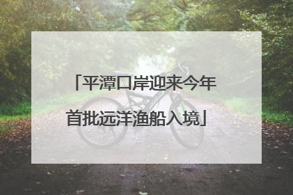 平潭口岸迎来今年首批远洋渔船入境