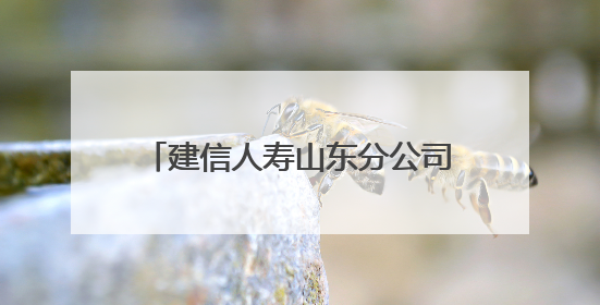建信人寿山东分公司深入开展“向张富清同志学习”系列活动