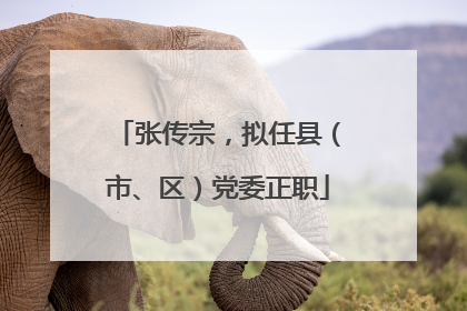 张传宗，拟任县（市、区）党委正职