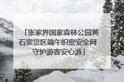 张家界国家森林公园黄石寨景区端午织密安全网 守护游客安心游
