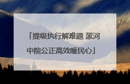 提级执行解难题 漯河中院公正高效暖民心