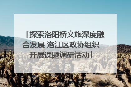 探索洛阳桥文旅深度融合发展 洛江区政协组织开展课题调研活动