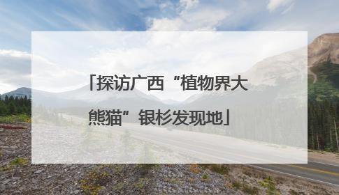 探访广西“植物界大熊猫”银杉发现地