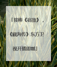 接棒《宿敌》，《藏海传》东方卫视开播即燃