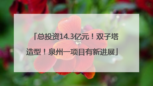 总投资14.3亿元！双子塔造型！泉州一项目有新进展