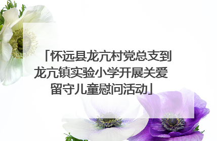 怀远县龙亢村党总支到龙亢镇实验小学开展关爱留守儿童慰问活动