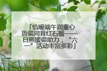 情暖端午润童心 鲁疆同育红石榴——日照援疆助力，“六一”活动丰富多彩