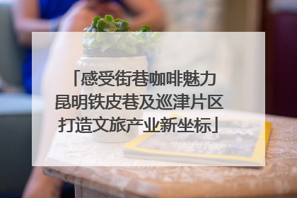 感受街巷咖啡魅力 昆明铁皮巷及巡津片区打造文旅产业新坐标