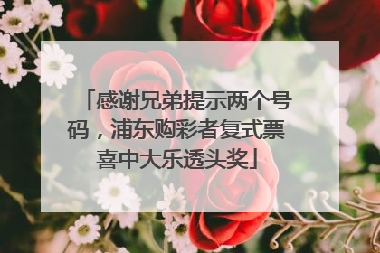 感谢兄弟提示两个号码，浦东购彩者复式票喜中大乐透头奖