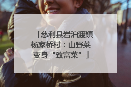 慈利县岩泊渡镇杨家桥村：山野菜变身“致富菜”