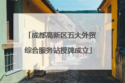 成都高新区五大外贸综合服务站授牌成立