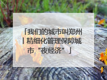 我们的城市叫郑州丨精细化管理保障城市“夜经济”