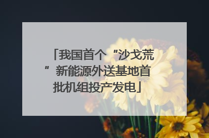 我国首个“沙戈荒”新能源外送基地首批机组投产发电